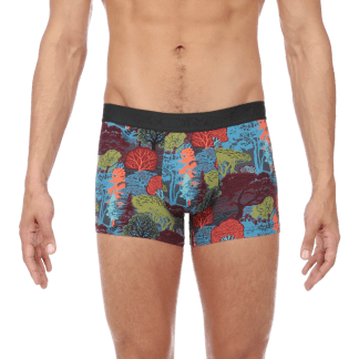 Natural Boxer Briefs Vorderseite